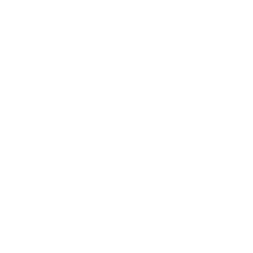 physical therapy